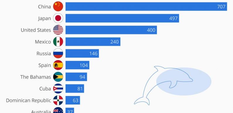 The Countries Keeping The Most Dolphins In Captivity [Infographic]
