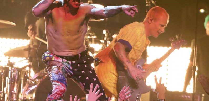 Pourquoi le Felyn Stadium Festival, qui a séduit les Red Hot Chili Peppers, est « un challenge innovant » pour l’OL