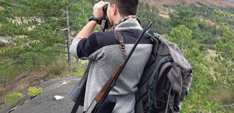VIDEO. Alpes: On a suivi l’Office de la chasse à la poursuite du loup, animal « d’une incroyable intelligence »