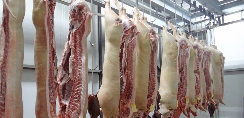 Ain : Six antispécistes arrêtés après l’incendie d’un abattoir