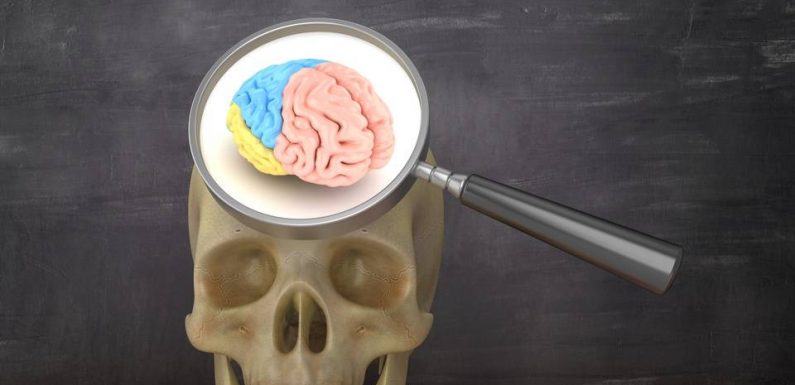 AUDIO. Feux d’artifice, hallucinations… Que se passe-t-il dans notre cerveau au moment de mourir ?