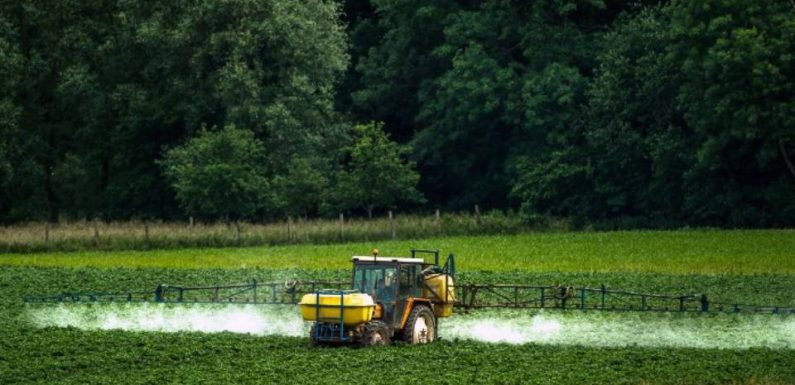 Supprimer le glyphosate aura un coût élevé, prévient un rapport parlementaire
