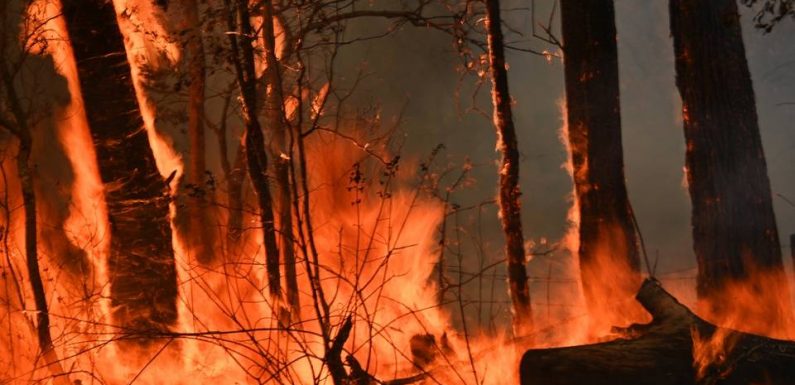 « La Terre inhabitable » : « Plus on se réchauffe, plus il y aura de la souffrance », estime David Wallace-Wells