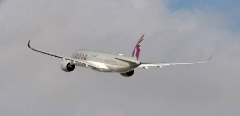 Avions plus légers, plus aérodynamiques… Faut-il croire aux promesses du secteur aérien ?