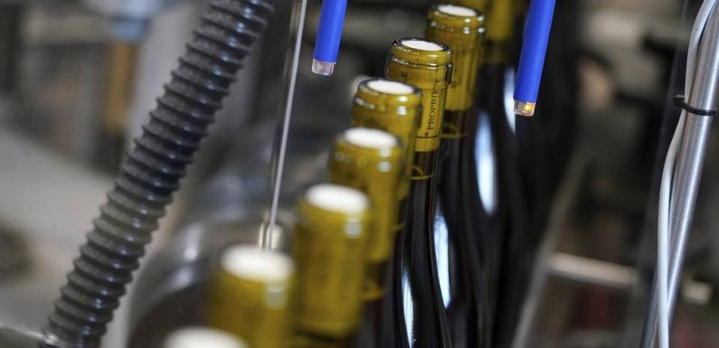 Lille : Ils transforment des mégots de cigarettes en beaujolais nouveau