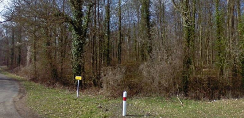 Aisne : La femme enceinte, retrouvée morte, a bien été tuée par des chiens