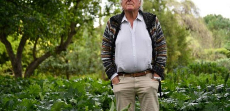 « Si on échoue à recréer une forêt primaire en Europe, cela veut dire que l’être humain est vraiment nul », s’alarme le botaniste Francis Hallé