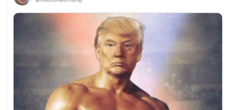 Etats-Unis : Sans contexte, Donald Trump poste une photo de lui en Rocky Balboa