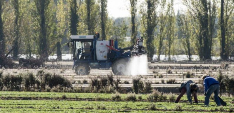 La justice valide deux arrêtés anti-pesticides au nom du « danger grave » pour la population