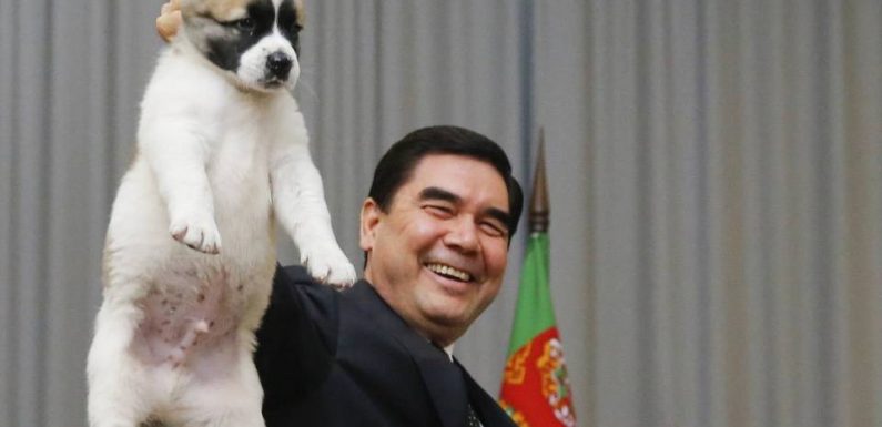 Turkménistan : Le président élève un chien au rang de symbole national