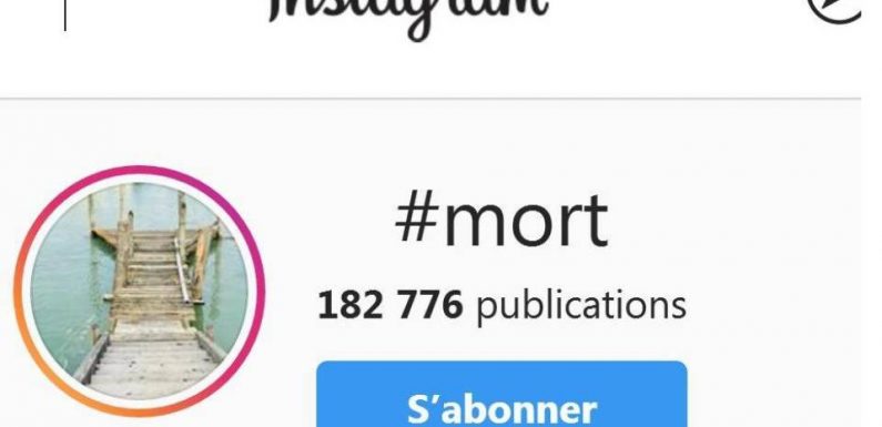 Facebook, Instagram, Twitter… Faut-il tout supprimer après la mort ou garder des comptes de commémoration ?