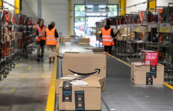 Amazon : Praticité, pouvoir d’achat et bonne conscience… Le rapport conflictuel de nos internautes avec la marque