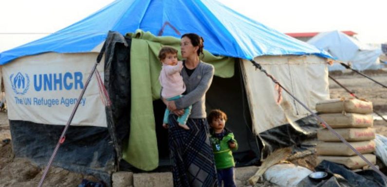 Que vont devenir les femmes isolées yézidies et leurs enfants accueillis en France ?