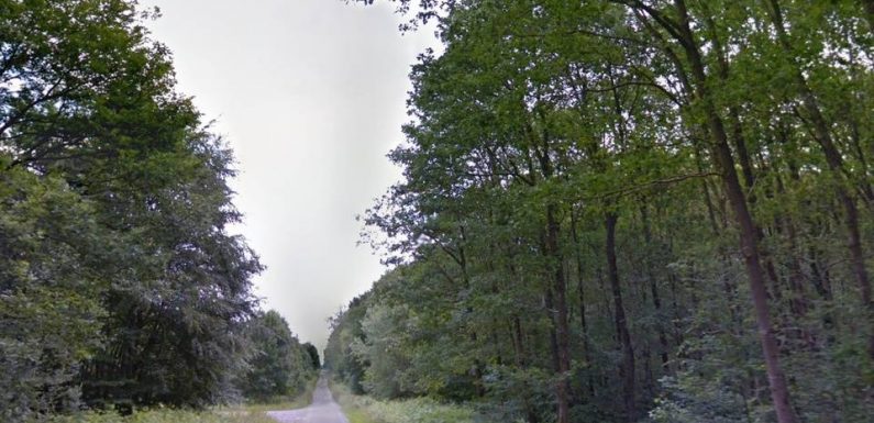 Femme tuée par des chiens : Une meute de chasse à courre est-elle responsable du drame ?