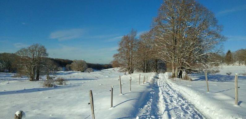 VIDEO. Chutes de neige : Près de 80 % des foyers privés d’électricité ont été réalimentés
