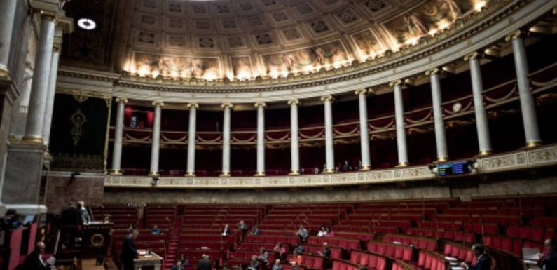 Agrocarburants à l’huile de palme : Les députés reportent à 2026 la fin de l’avantage fiscal