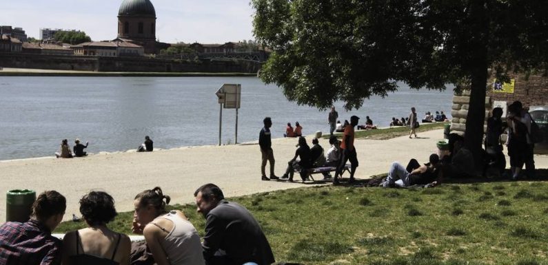 Municipales 2020 à Toulouse : C’est quoi au juste ce projet de « bouclier végétal » ?