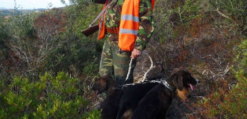 Charente-Maritime : Un cueilleur de champignons tué par un chasseur qui l’avait confondu avec du gibier