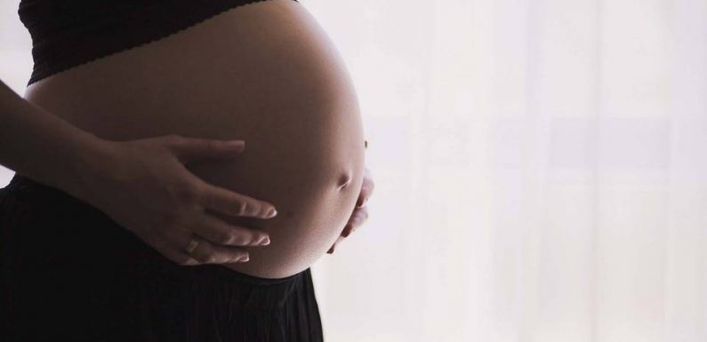 Loi bioéthique : La question du diagnostic préimplantatoire (DPI) va-t-elle resurgir au Sénat ?