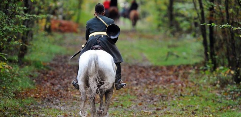 Côtes d’Armor : Un militant anti chasse à courre poursuivi par une élue pour diffamation