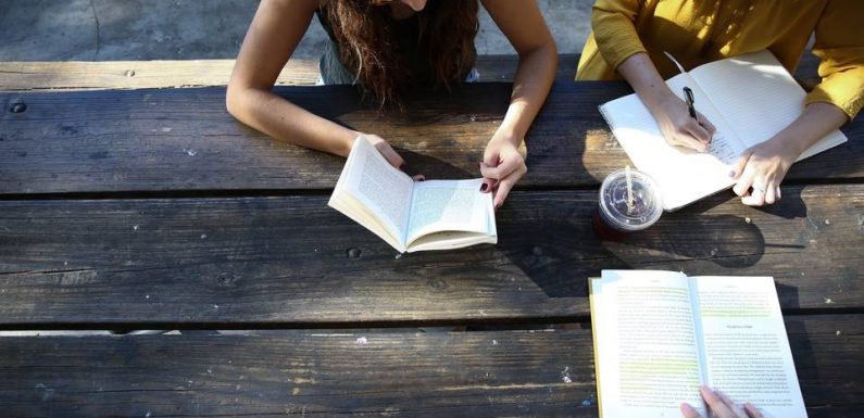 PODCAST. « Minute Papillon ! » : Citadin ou rural, comment lutter contre les inégalités dans les études supérieures ?