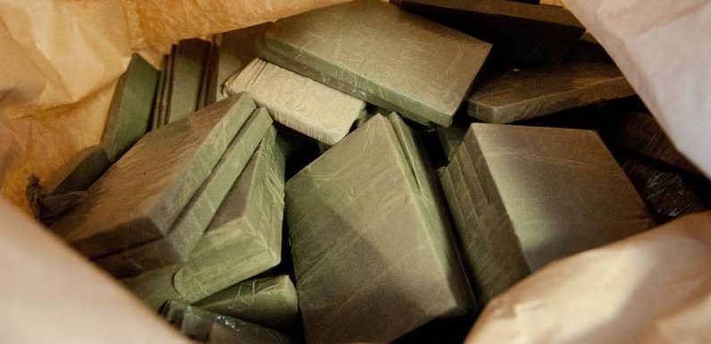 Isère : Plus de 500 kilos de cannabis saisis dans un go-fast près de Vienne