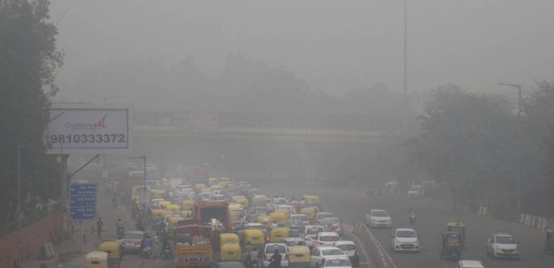 Inde : Le ministre de la Santé préconise de manger des carottes pour faire face à la pollution