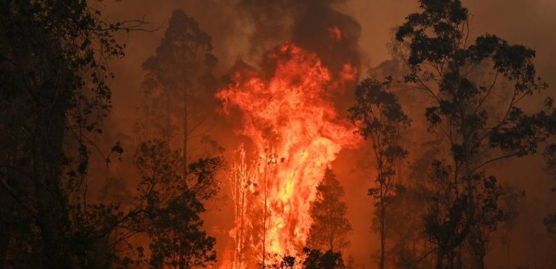 Australie: Les incendies ont fait au moins quatre morts