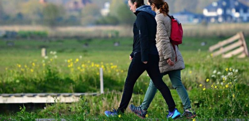Jeunes citadins ou jeunes ruraux… Comment les origines géographiques pèsent sur les trajectoires étudiantes ?