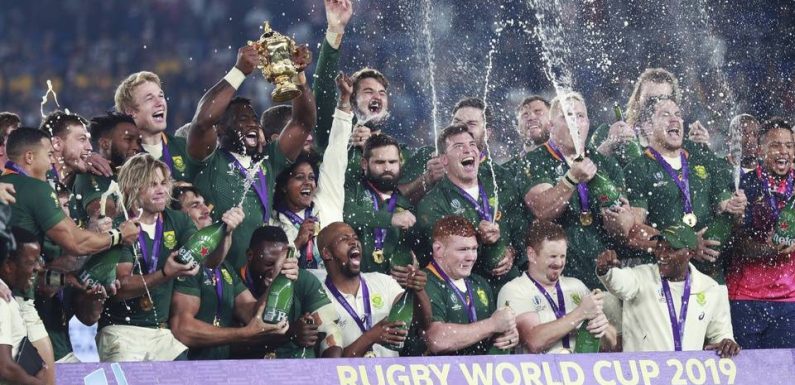 Coupe du monde de rugby : Comment les Springboks sont revenus au sommet