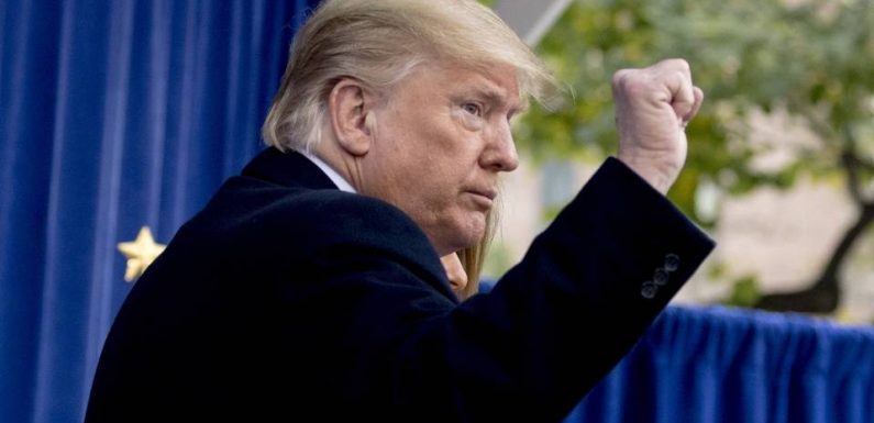 Etats-Unis : Le nouveau chef de Daesh dans la ligne de mire de Donald Trump