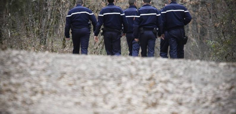 Toulouse : L’engrenage fatal qui a conduit à un meurtre à coups de marteau dans la forêt de Bouconne