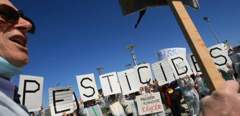 Haute-Garonne: L’arrêté anti-pesticides du maire de Montbrun-Lauragais suspendu