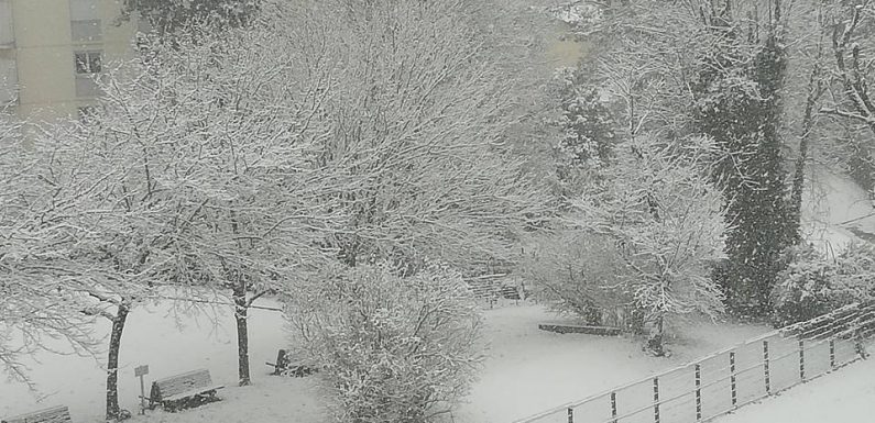 Lyon : La neige attendue en quantité « non négligeable », les opérations de salage s’organisent