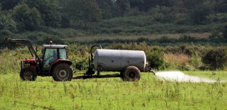 Les infos immanquables du jour : La victoire des maires anti-pesticides, le phénomène Gambi et des vétos pas chers