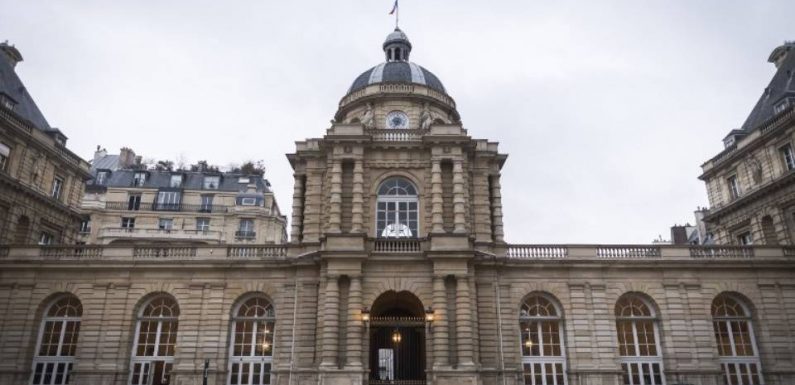 Violences conjugales : Bracelet antirapprochement, protection renforcée… Le texte arrive au Sénat
