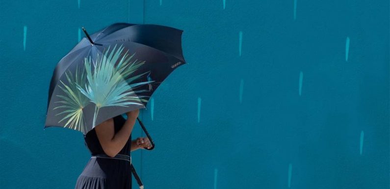 Bordeaux : Face au géant chinois, une Bordelaise recrée une petite filière européenne du parapluie