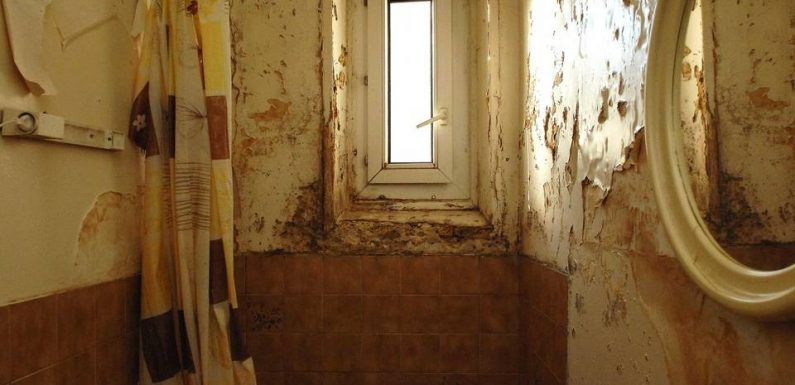 Logements insalubres : Les maires pourront bientôt interdire la location
