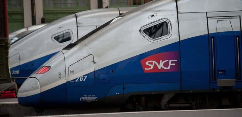 Un « déséquilibré » interpellé nu dans un TGV près de Reims
