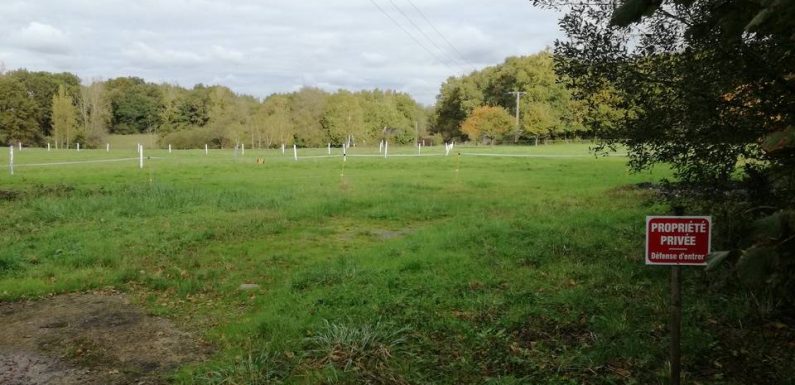 FC Nantes : Waldemar Kita négocie pour déménager la Jonelière à Pont-Saint-Martin