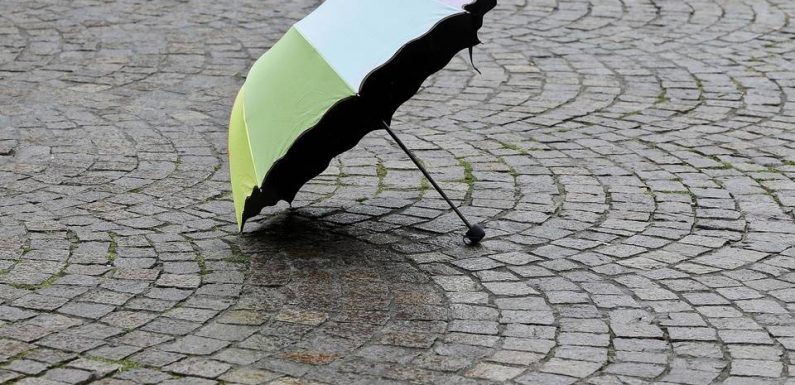 Grisaille, pluie et fraîcheur pour la météo de ce lundi férié