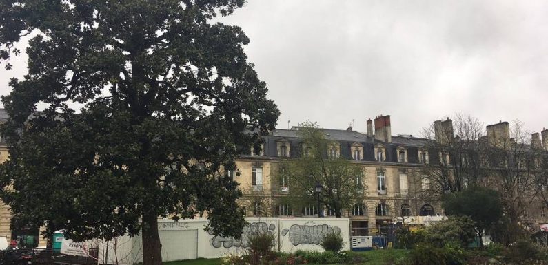 Bordeaux : Quelque 145 arbres déracinés après la tempête Amélie