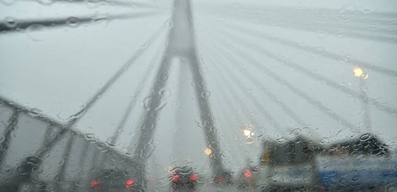 VIDEO. Sécheresse : Des Australiens partagent leur joie après d’importantes chutes de pluie