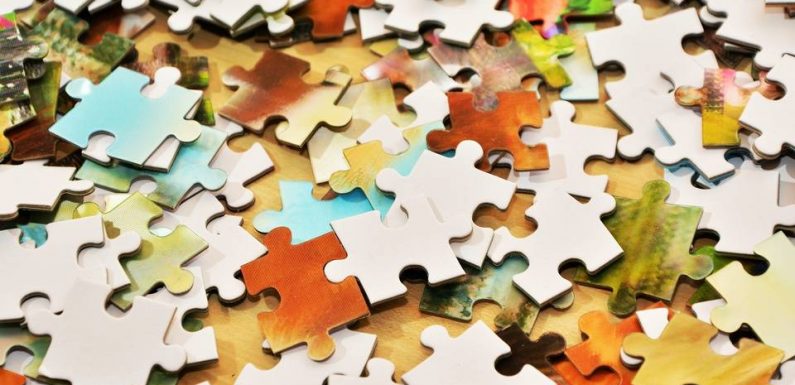 Toulouse : Et si vous vous mettiez au concours de puzzle ? Une idée « importée » par trois sœurs gersoises