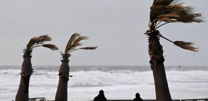 Tempête Amélie : Près de 35.000 foyers sans électricité, la Charente-Maritime reste en vigilance orange crue