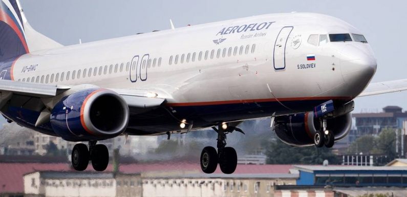 Russie: Un passager embarque son chat trop lourd en cabine, il perd ses «miles»