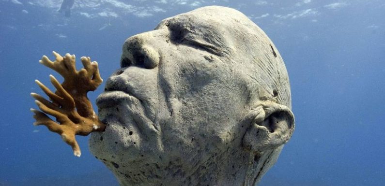 VIDEO. Cannes : Après un faux départ, feu vert pour le « premier musée sous-marin de France »