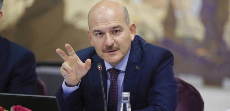 Ankara veut renvoyer dans leurs pays les djihadistes capturés en Syrie