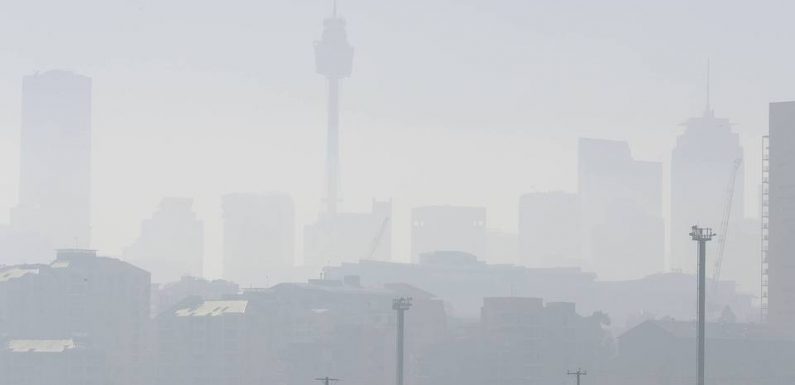 Australie : Sydney dans un épais brouillard toxique à cause des incendies
