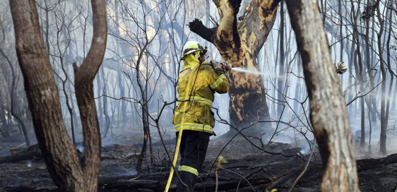 Australie : Des habitants pris au piège des incendies qui se rapprochent de Sydney